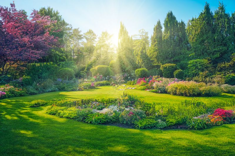 Garden Expansion