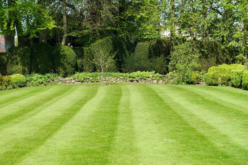 Expanded Lawn with Pathways