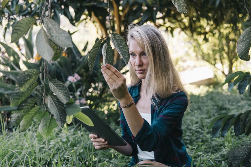 Permits and Regulations