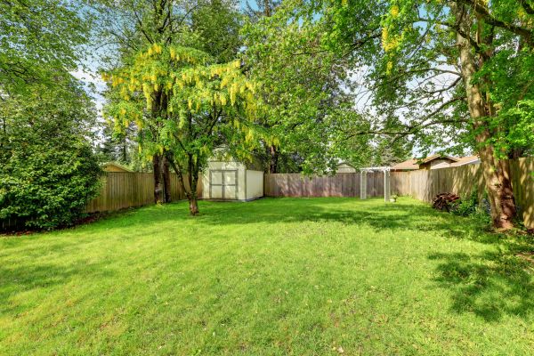 Landscape Expansion